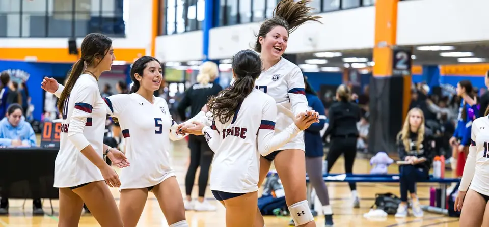 Volleyball players celebrating a point on the court